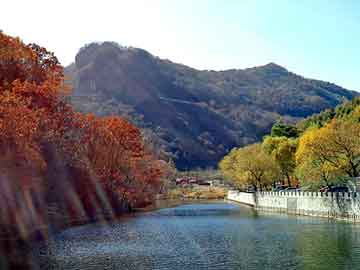 正新澳门二四六天天彩，四川日报广告部电话